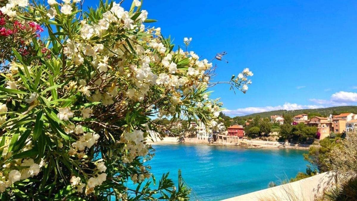 Superbe Appartement En Bord De Mer Bandol Exteriör bild