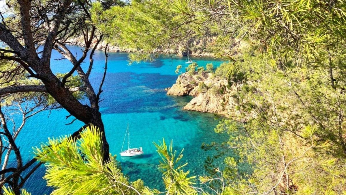 Superbe Appartement En Bord De Mer Bandol Exteriör bild